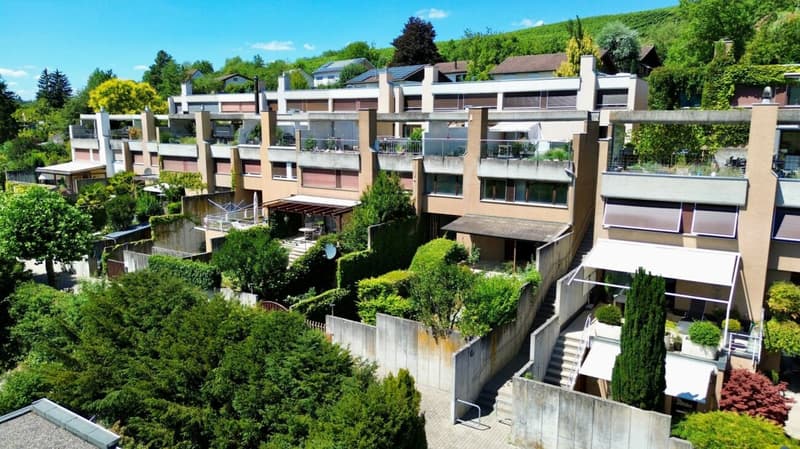 Traumhafte Aussicht und grosses Potenzial: Reihenhaus in Magden (1)