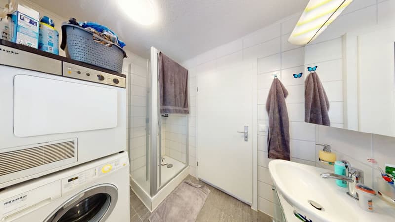 Exklusives 8-Zimmer-Einfamilienhaus mit Einliegerwohnung, grossem Garten und Werkstattgarage in ländlicher Lage (17)