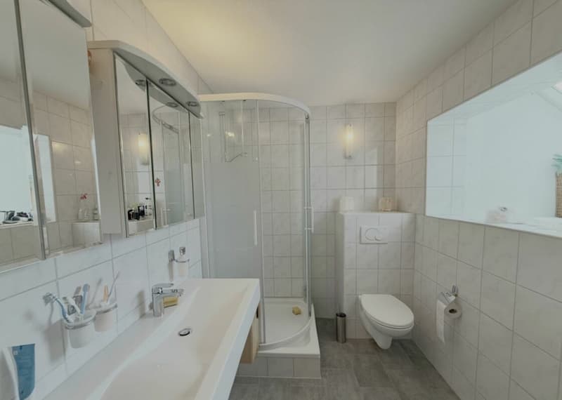 Bauernhaus mit Scheune auf 2'178 m² - Freiheit, Charme und unzählige Möglichkeiten (18)