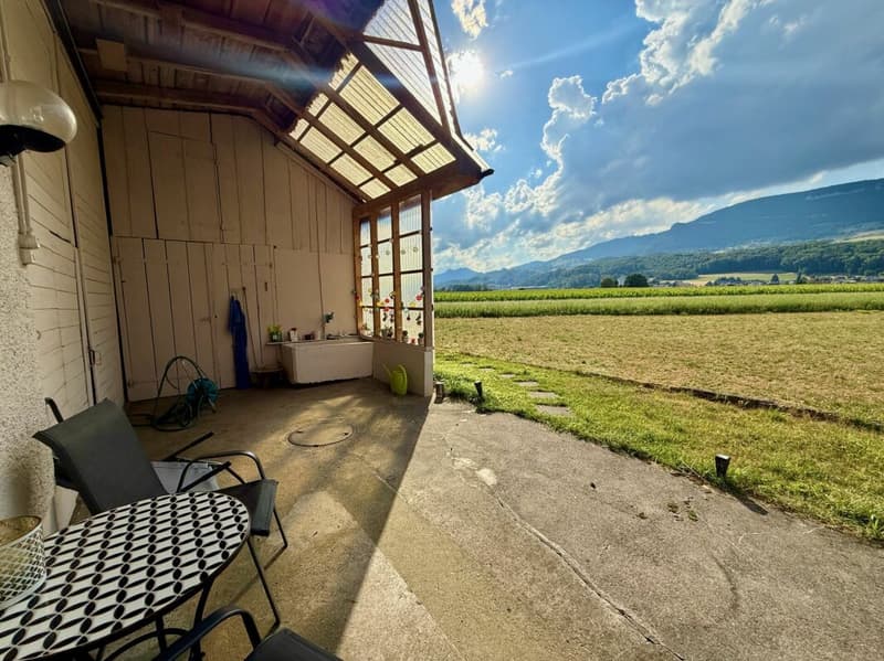 Bauernhaus mit Scheune auf 2'178 m² - Freiheit, Charme und unzählige Möglichkeiten (6)