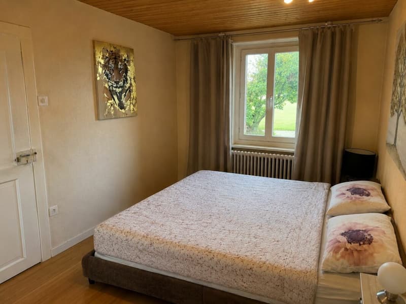 Bauernhaus mit Scheune auf 2'178 m² - Freiheit, Charme und unzählige Möglichkeiten (10)