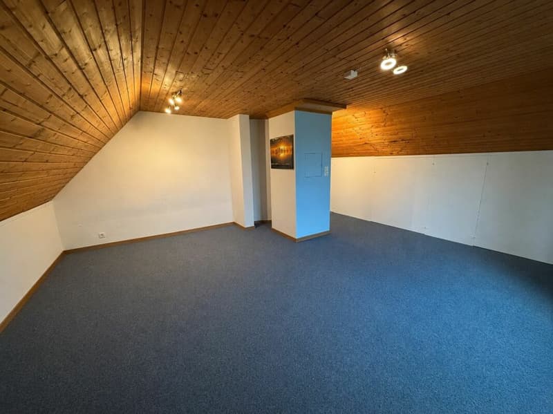 Bauernhaus mit Scheune auf 2'178 m² - Freiheit, Charme und unzählige Möglichkeiten (15)