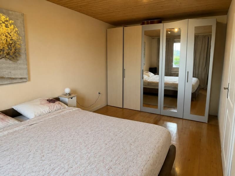 Bauernhaus mit Scheune auf 2'178 m² - Freiheit, Charme und unzählige Möglichkeiten (11)