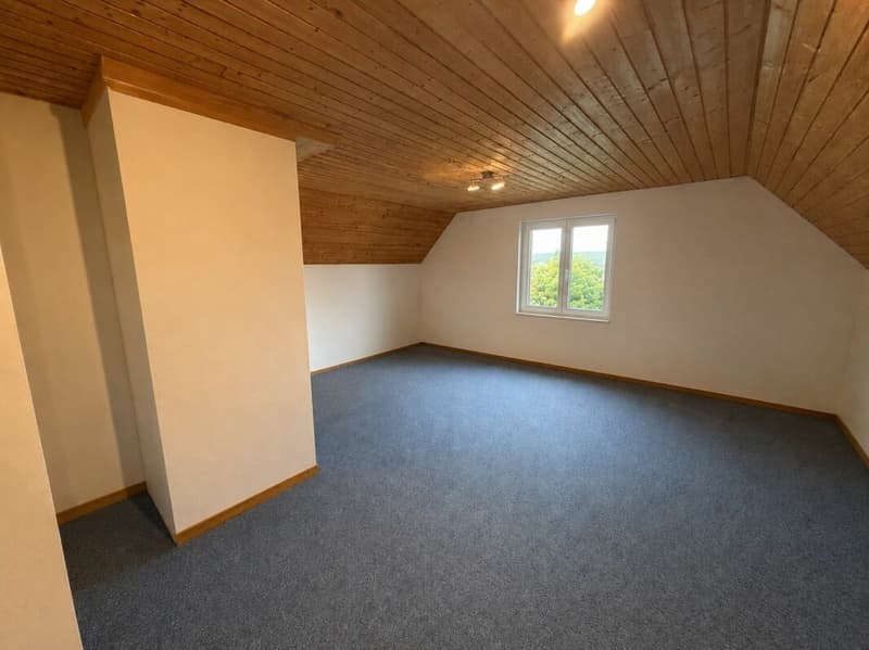 Bauernhaus mit Scheune auf 2'178 m² - Freiheit, Charme und unzählige Möglichkeiten (16)