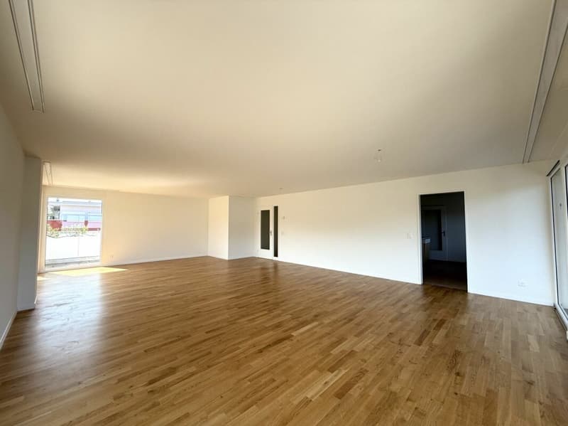 Sofort bezugsbereit - helle Attikawohnung in Aesch BL (2)