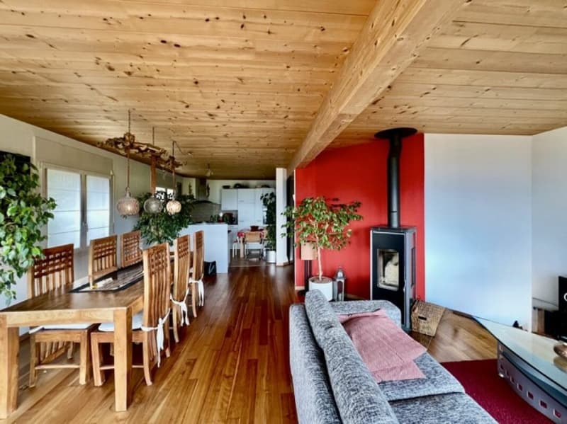 Doppeleinfamilienhaus mit separatem Studio (2)