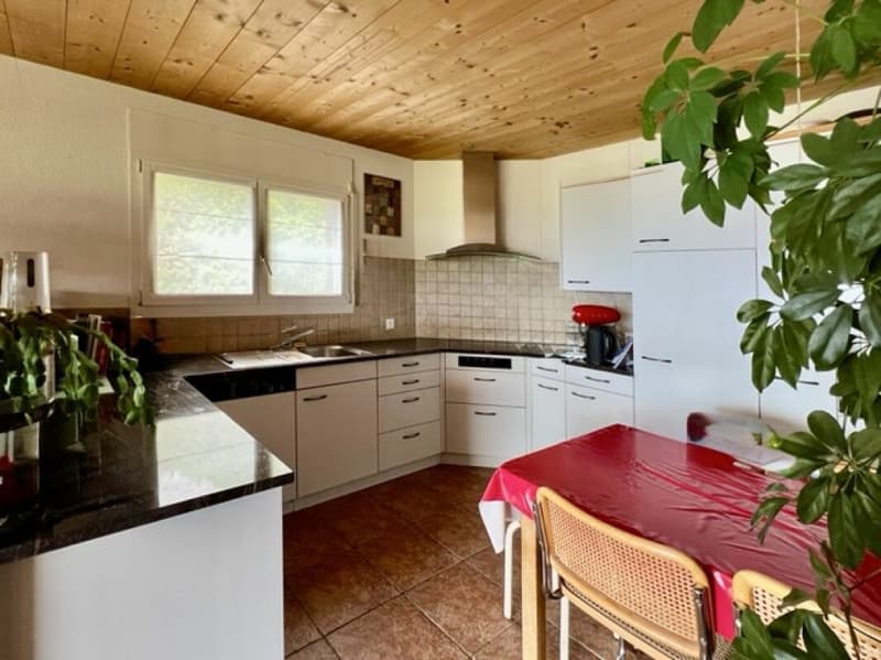 Doppeleinfamilienhaus mit separatem Studio (10)
