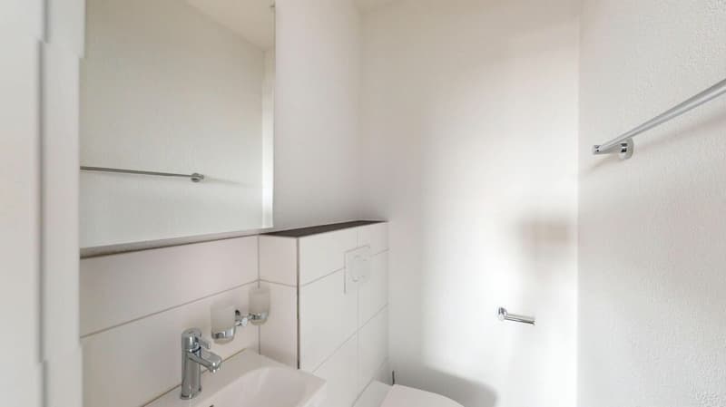 Exklusive 3.5-Zimmer-Attikawohnung im Erstbezug mit 98 m² Sonnenterrasse (8)