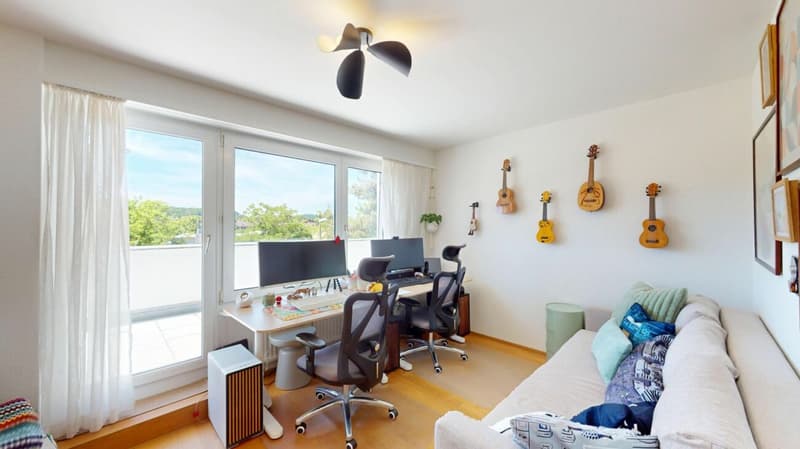Modernisierte Attikawohnung mit traumhafter 360°-Terrasse (7)