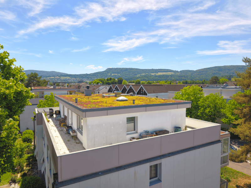 Modernisierte Attikawohnung mit traumhafter 360°-Terrasse (11)