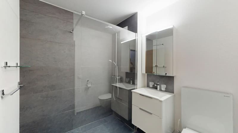 Ruhig gelegenes 6.5-Zimmer-Reihenfamilienhaus mit viel Platz (9)