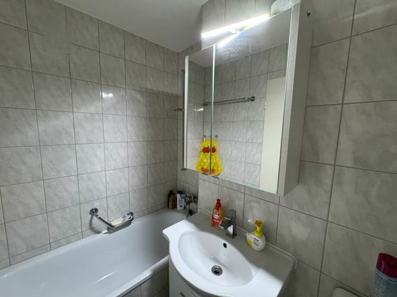 Wohnen mit Aussicht helle 3.5-Zimmerwohnung in Augst (8)