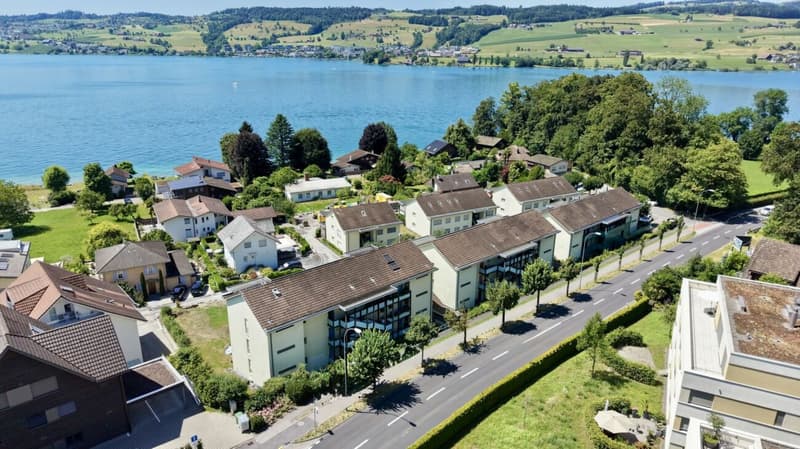 Exklusive 4.5-Zimmer-Wohnung in Greppen - Wohnen mit See- und Bergblick (1)