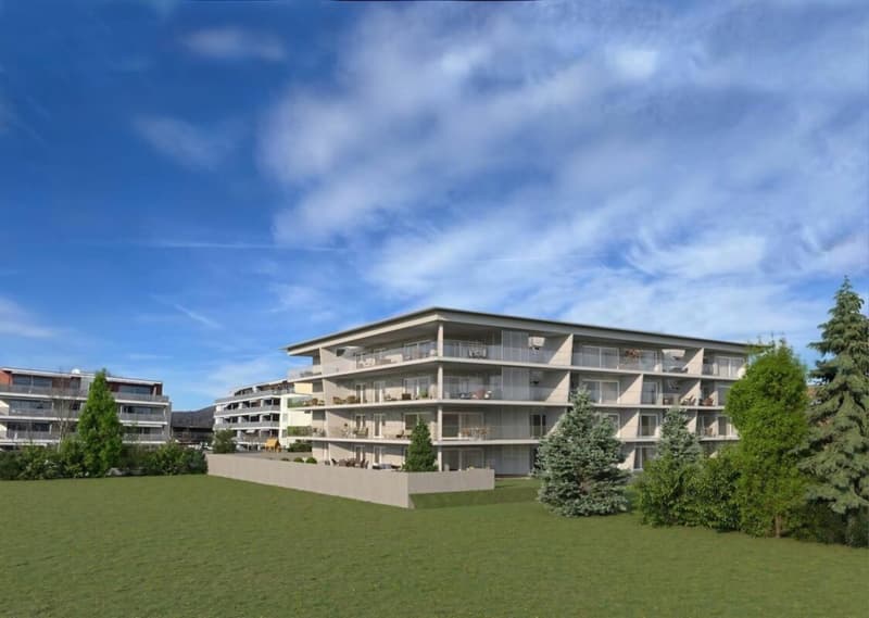 Hochwertige Attika 5.5-Zimmer-Neubauwohnung mit Möglichkeit zur individuellen Mitgestaltung! (4)