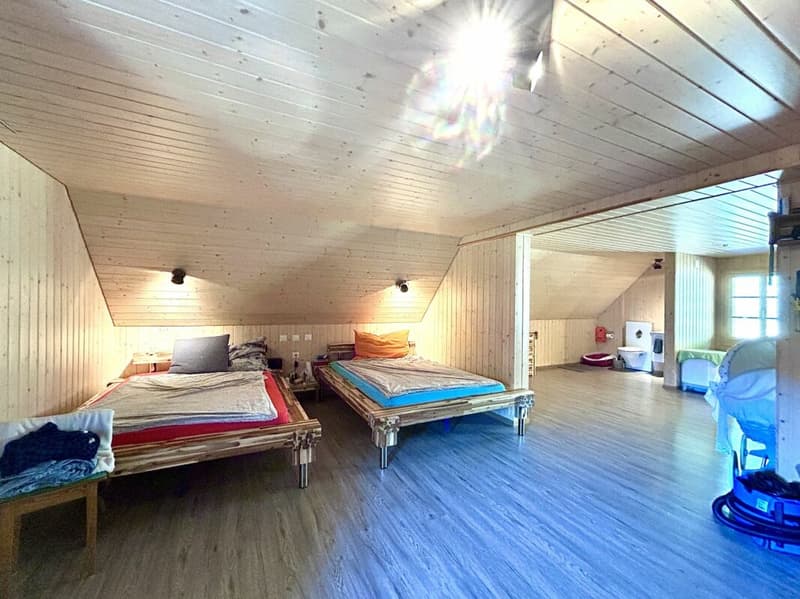 Modernisiertes Einfamilienhaus mit hochwertigem Neubau-Anbau und 3 Einstellplätzen! (10)