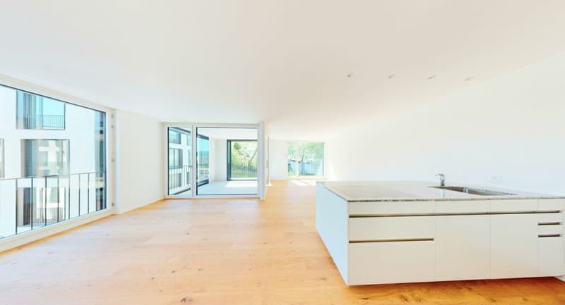 Verlieben erlaubt! Exklusive Neubauwohnung in Killwangen (3)