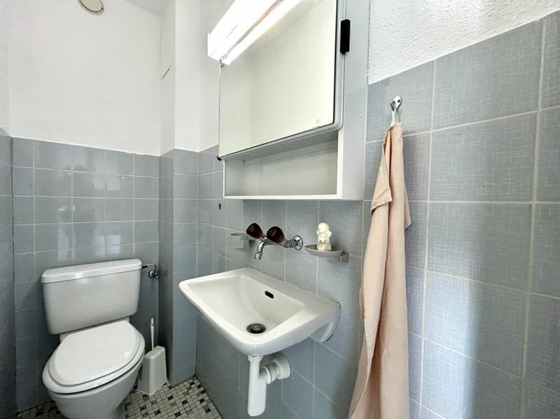 5.5-Zimmer-Wohnung mit Potenzial zur individuellen Gestaltung! (9)