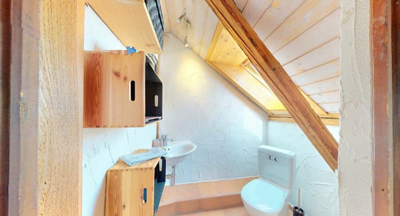 Ein Haus, das Geschichten erzählt! Einzigartiges Wohnerlebnis in Brittnau (13)