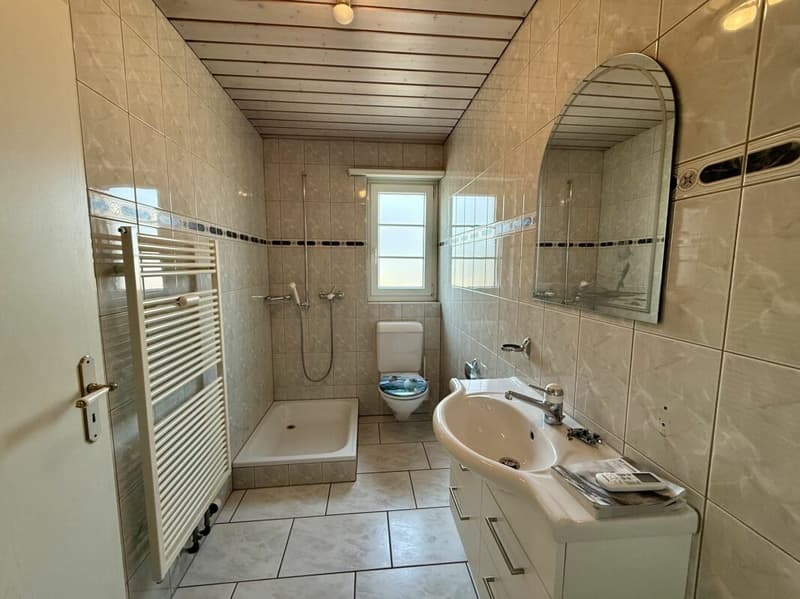 Zentral wohnen, die Aare vor der Tür - 3-Zimmer-Wohnung in Niedergösgen (12)
