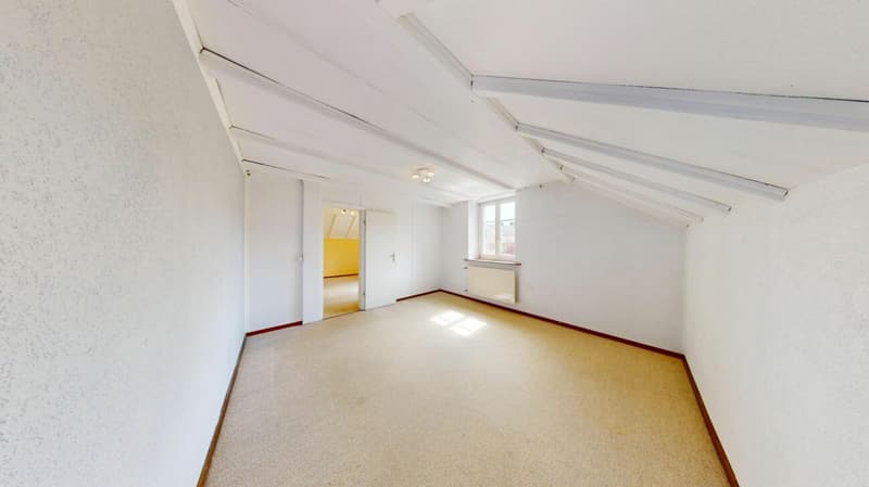 Freistehendes Raumwunder mit grossem Anbau und enormem Potenzial (10)