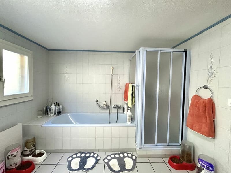 Modernisiertes Einfamilienhaus mit hochwertigem Neubau-Anbau in Thörigen! (16)
