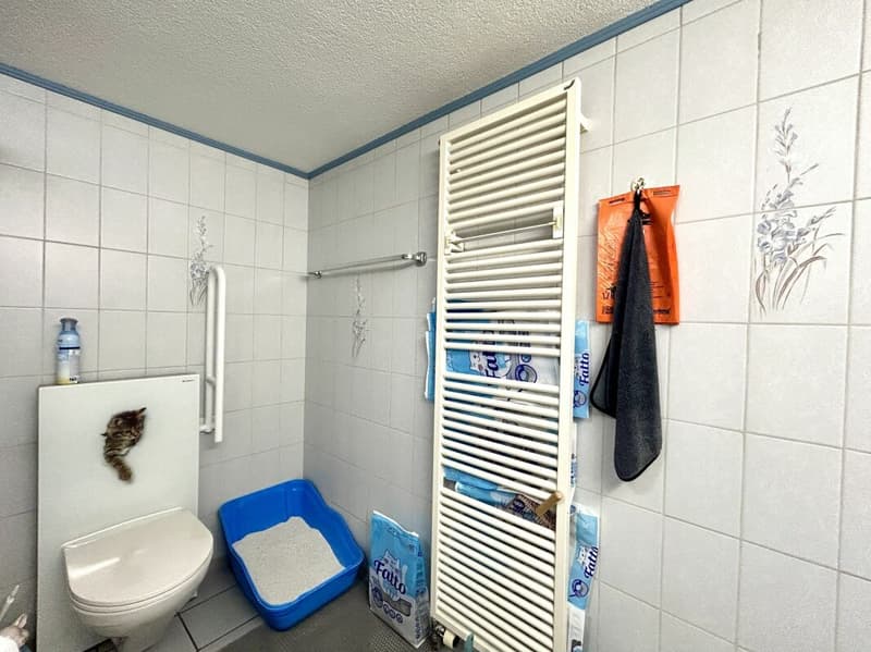 Modernisiertes Einfamilienhaus mit hochwertigem Neubau-Anbau in Thörigen! (17)