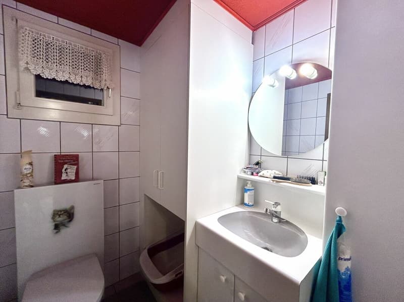 Modernisiertes Einfamilienhaus mit hochwertigem Neubau-Anbau in Thörigen! (18)