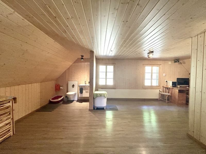 Modernisiertes Einfamilienhaus mit hochwertigem Neubau-Anbau in Thörigen! (9)
