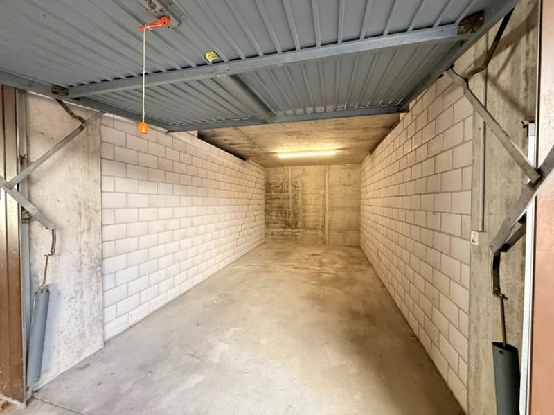 Modernes Wohnglück mit Garten in Gretzenbach (17)