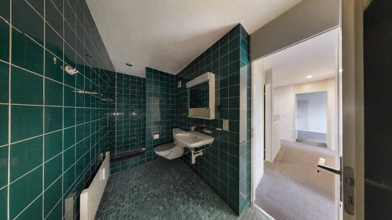 Familienglück mit Weitblick - Ihr neues Zuhause in Magden (9)