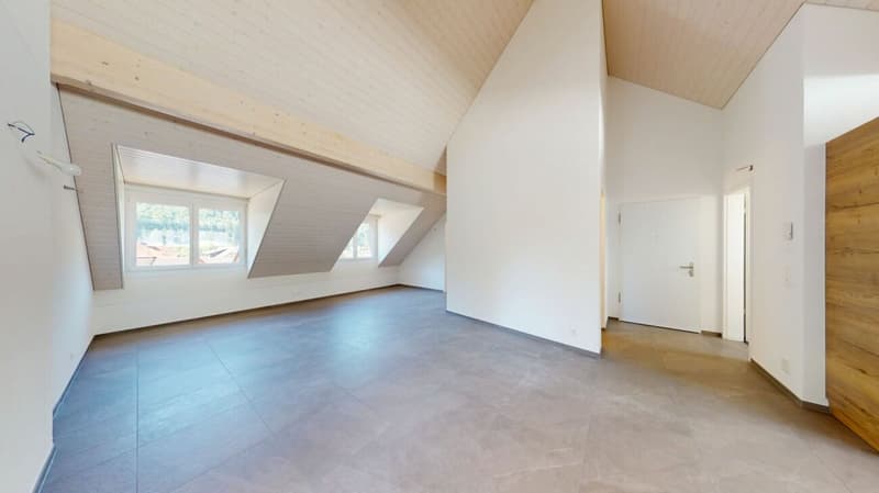 "INVESTITIONSPAKET" 2 x NEUBAUWOHNUNGEN in Herbetswil (7)