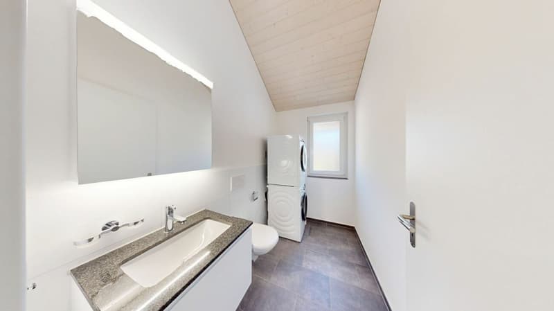 "INVESTITIONSPAKET" 2 x NEUBAUWOHNUNGEN in Herbetswil (11)