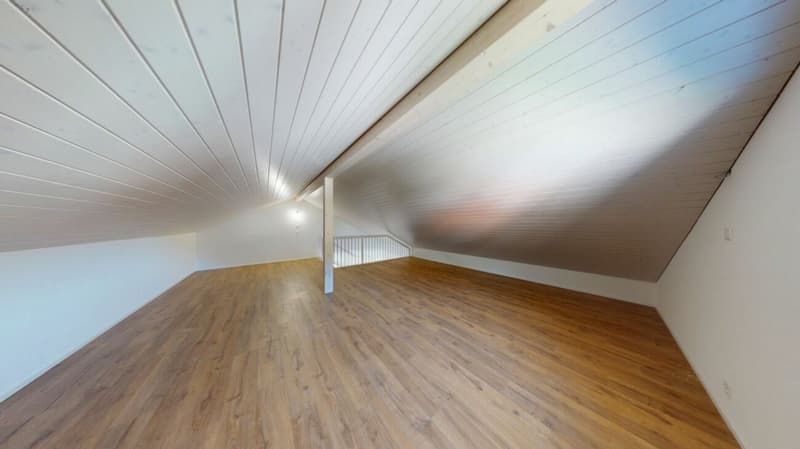"INVESTITIONSPAKET" 2 x NEUBAUWOHNUNGEN in Herbetswil (12)