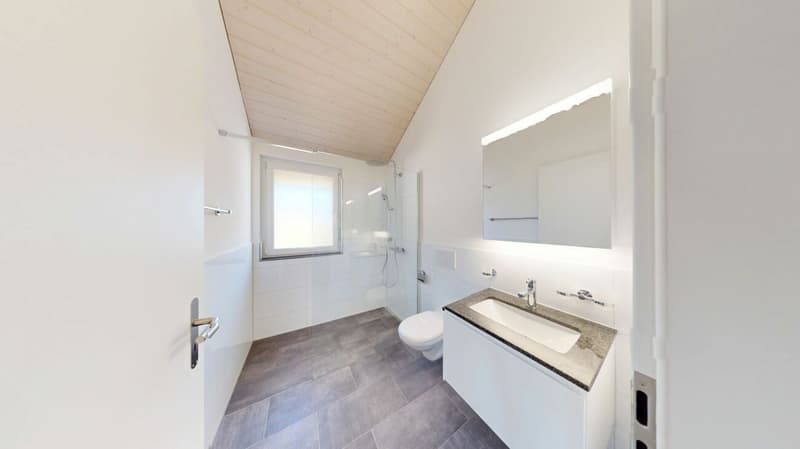 "INVESTITIONSPAKET" 2 x NEUBAUWOHNUNGEN in Herbetswil (9)