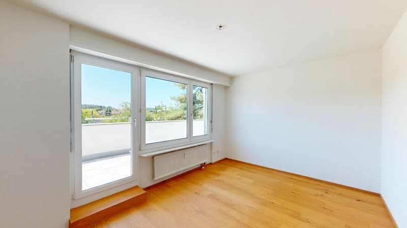 Modernisierte Attikawohnung mit traumhafter 360°-Terrasse (7)