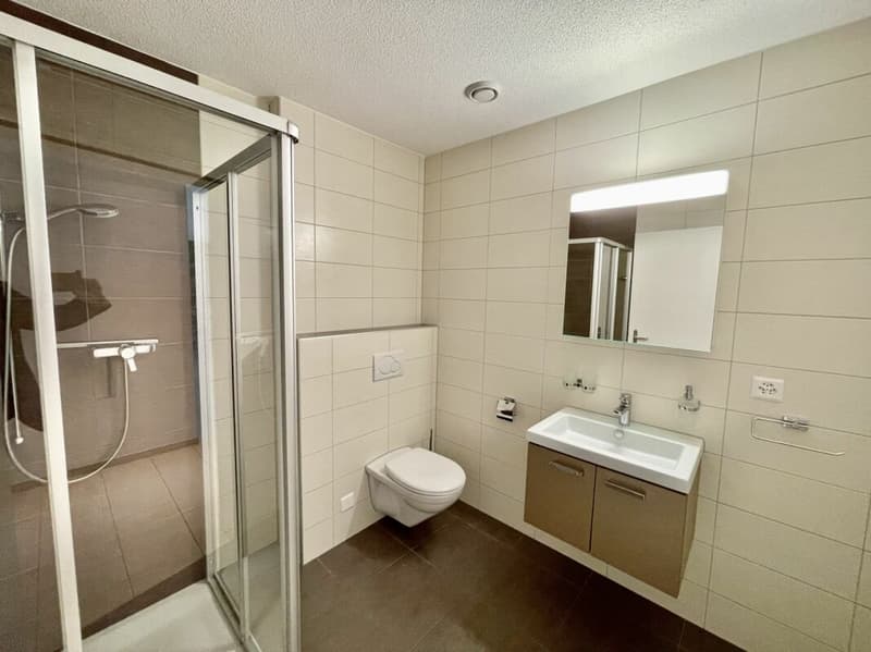 Moderne 4.5 Zimmer Wohnung mit Terrasse & Lift in Luterbach (9)
