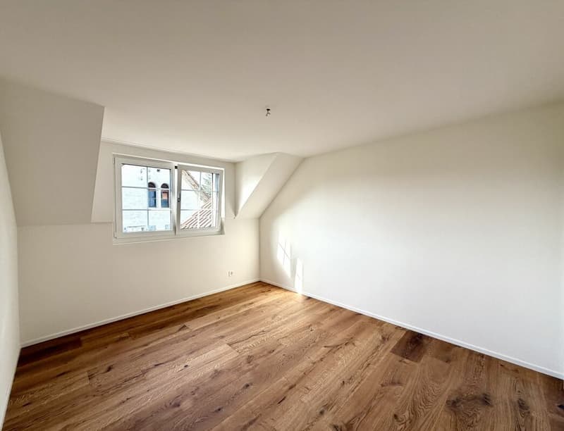 Neuwertige 4.5 Zimmer-Wohnung komplett kernsaniert! (4)