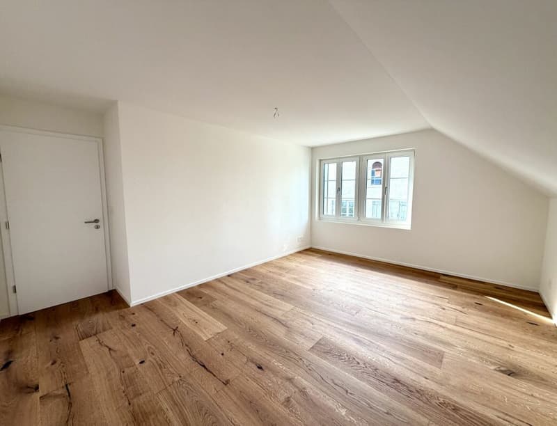 Neuwertige 4.5 Zimmer-Wohnung komplett kernsaniert! (6)