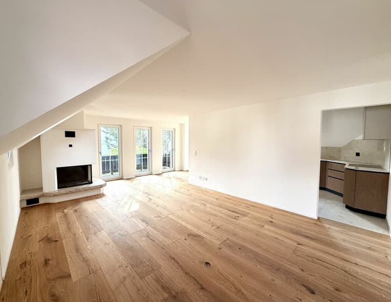 Neuwertige 4.5 Zimmer-Wohnung komplett kernsaniert! (2)