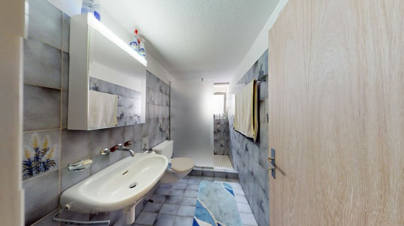 Charmantes 5.5 Zimmer Einfamilienhaus mit Alpenblick und traumhaftem Garten (12)