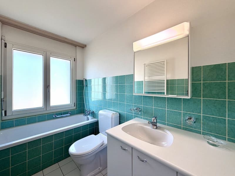 3.5-Zimmer-Wohnung in Flumenthal! (7)