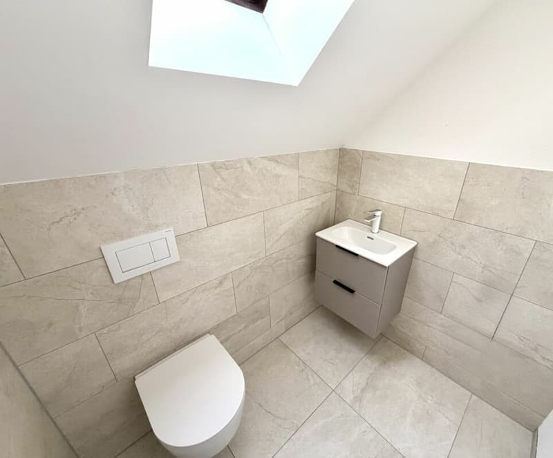 4.5 Zimmer-Wohnung komplett kernsaniert in Birr! (9)