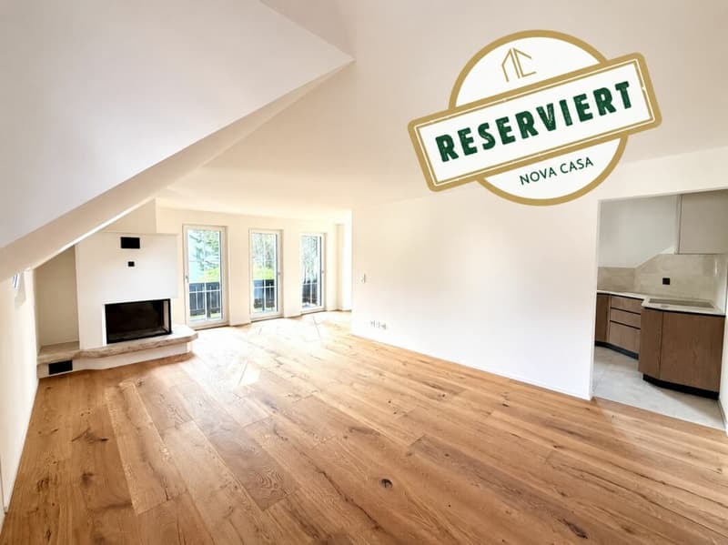 4.5 Zimmer-Wohnung komplett kernsaniert in Birr! (1)