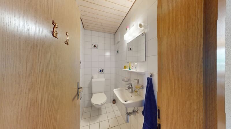 Grosszügiges 6.5 Zimmer Doppeleinfamilienhaus mit Wintergarten (13)