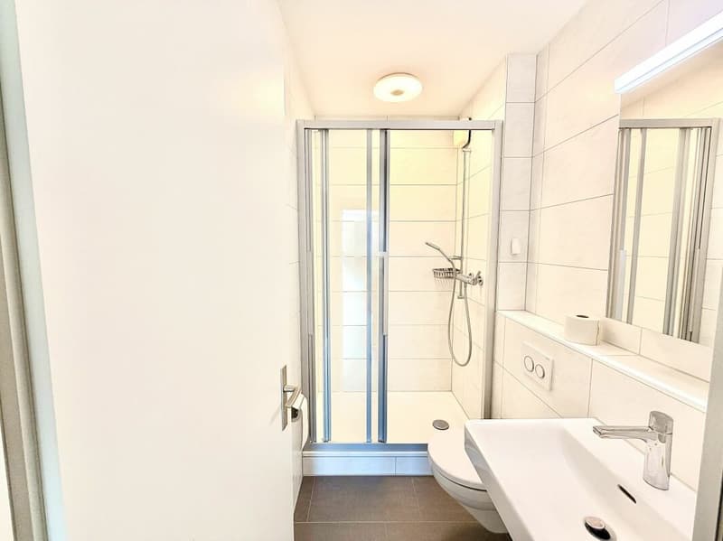 Attraktive 4.5 Zimmer-Wohnung in Bern (4)