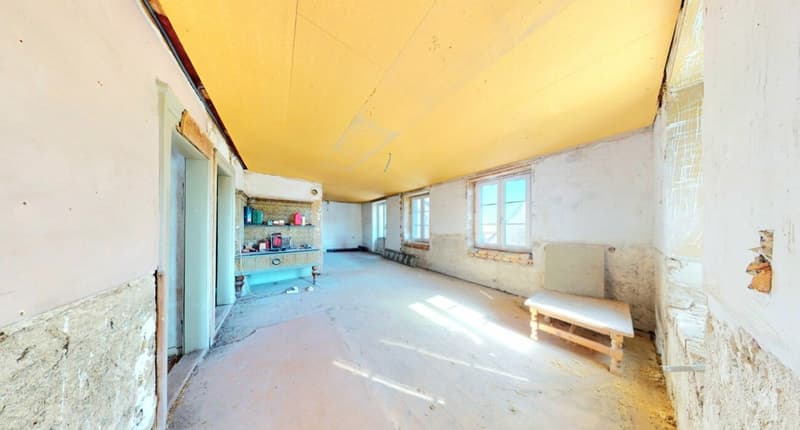 Ein Haus mit Geschichte! Bauernhaus mit Scheune, Charme & riesigem Potenzial (7)