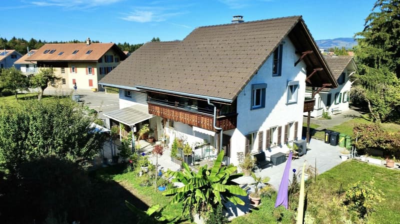 Kernsanierte 4.5-Zimmer-Maisonettewohnung mit Bergsicht! (10)