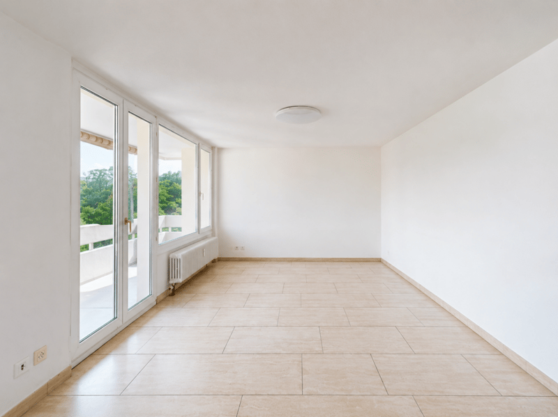 Wohnen mit Aussicht helle 3.5-Zimmerwohnung in Augst (1)