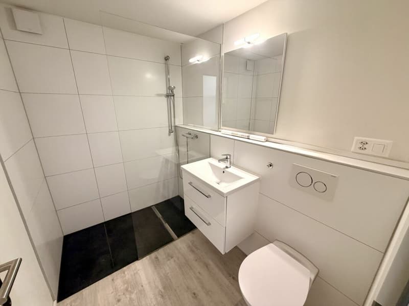 Stilvoll saniertes Einfamilienhaus mit modernem Wohnkomfort! (8)