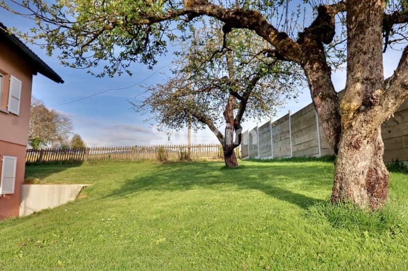 Beau jardin avec arbres matures et beaucoup d'espace vert, idéal pour la détente.